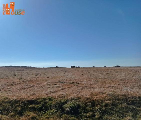 Chalet en venta en Adrada de Pirón, Adrada de piron photo 0