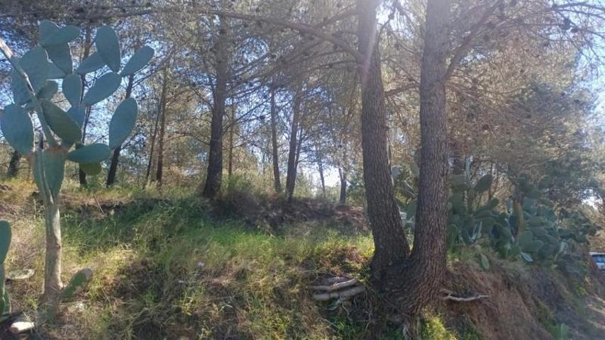 Terreno en venta en Riudecols, Cataluna photo 0