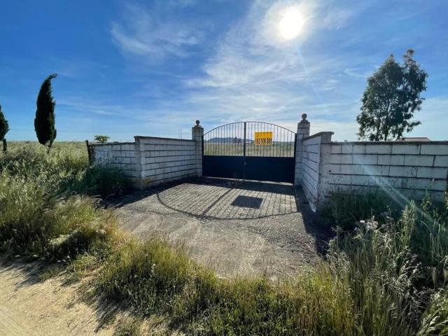 Terreno en venta en Sierra de Fuentes, Extremadura photo 0