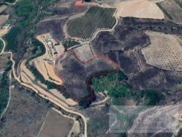 Terreno en venta en Paracuellos de Jiloca photo 0