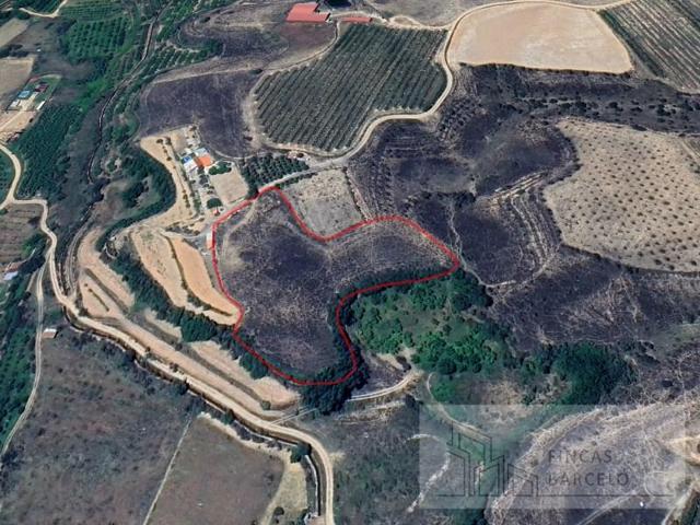 Terreno en venta en Paracuellos de Jiloca photo 0