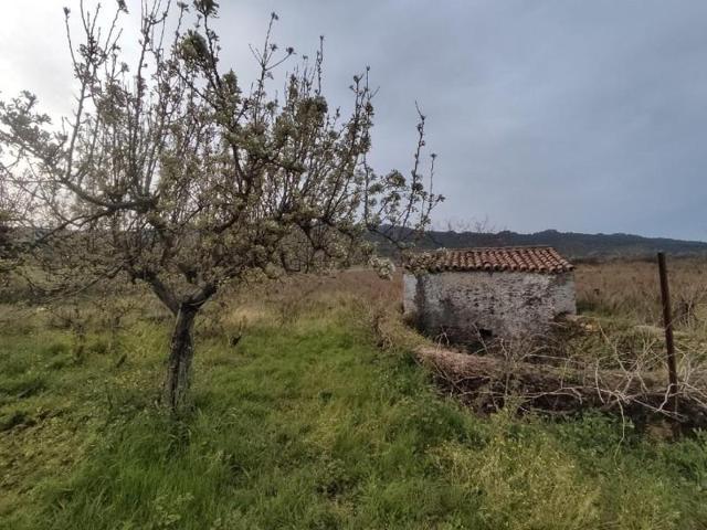 Terreno en venta en Mirabel, MIRABEL photo 0