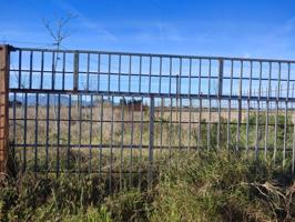 Terreno en venta en Sueca, Sueca photo 0