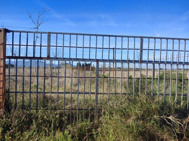 Terreno en venta en Sueca, Sueca photo 0