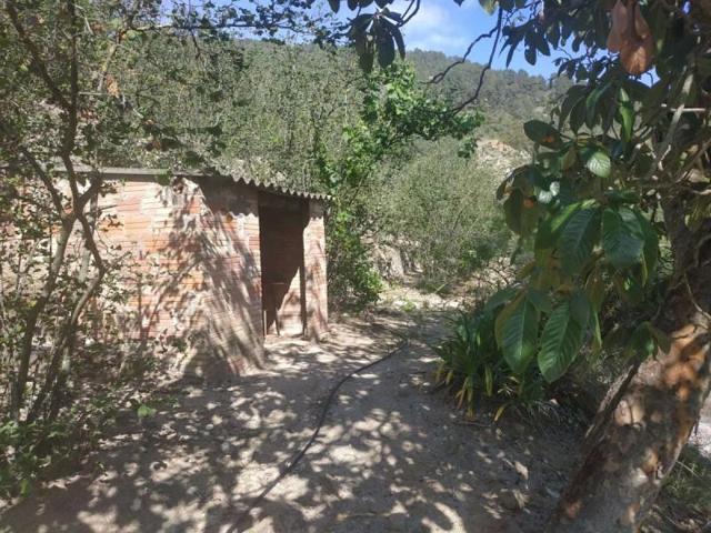 Terreno en venta en Aleixar, Aleixar (L`) photo 0