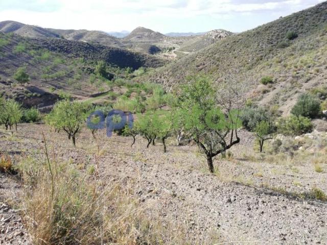 Chalet en venta en Lorca, Zarcilla de Ramos-Doña Inés photo 0