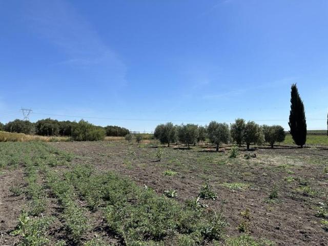 Terreno en venta en Las Cabezas de San Juan, LAS CRUCES photo 0