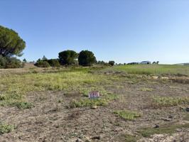 Terreno en venta en Las Cabezas de San Juan, LA RENTILLA photo 0