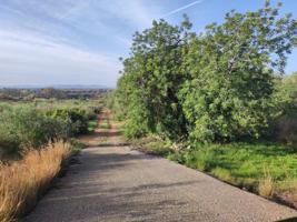 Chalet en venta en Ulldecona, Ulldecona photo 0