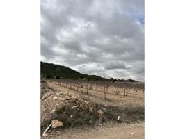 Terreno en venta en Yecla photo 0