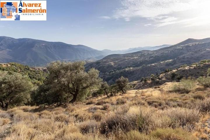 Terreno en venta en Cáñar, ALPUJARRA-CAÑAR photo 0