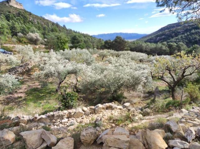 Chalet en venta en la Sènia, Senia (La) photo 0