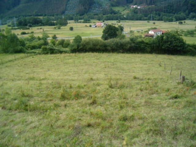Terreno en venta en Pravia, Pravia photo 0