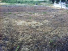 Terreno en venta en Corullón, Corullon photo 0