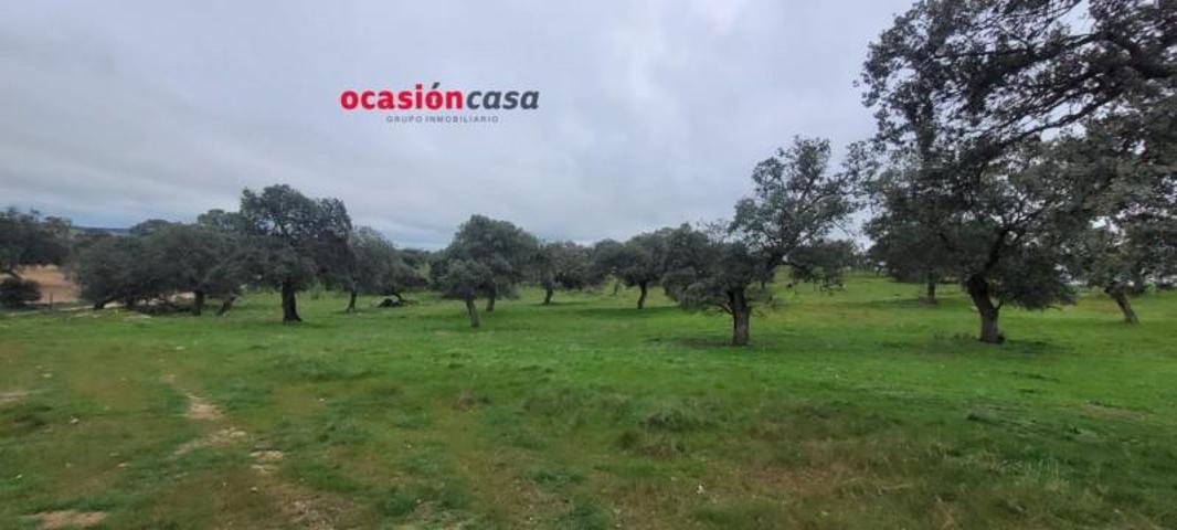 Chalet en venta en Pedroche, Pedroche photo 0