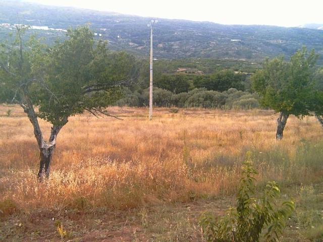 Terreno en venta en Plasencia, CARRETERA DEL VALLE - NACIONAL 110 photo 0