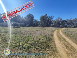 Chalet en venta en Paradas, Paradas photo 0