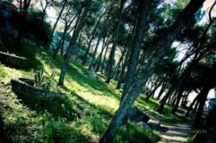 Terreno en venta en Ubrique, LOS PINITOS photo 0