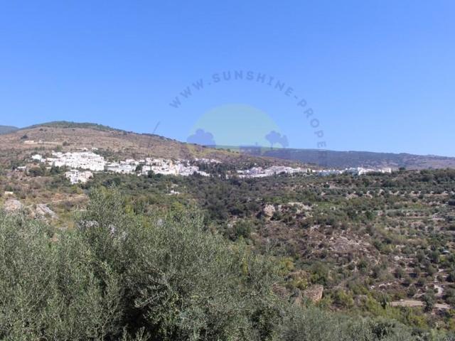 Chalet en venta en Válor photo 0