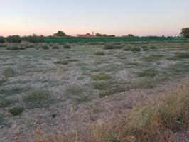 Chalet en venta en Argamasilla de Alba, Argamasilla De Alba photo 0