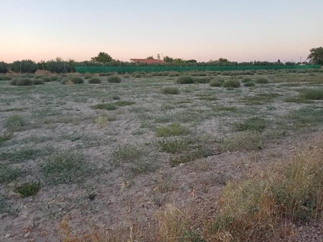 Chalet en venta en Argamasilla de Alba, Argamasilla De Alba photo 0