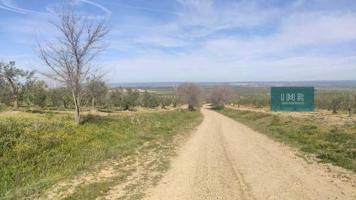Terreno en venta en Albaida del Aljarafe, Andalucia photo 0