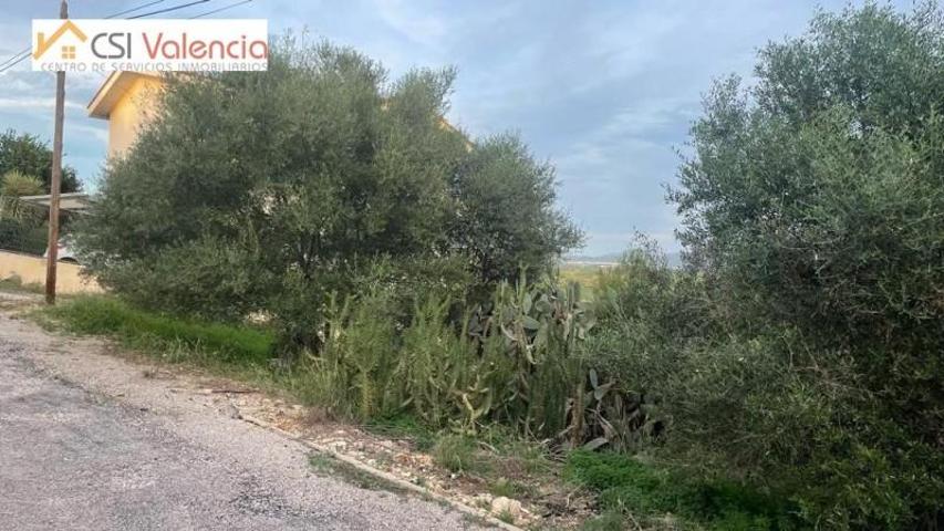 Terreno en venta en Alberic, Monte jucar photo 0