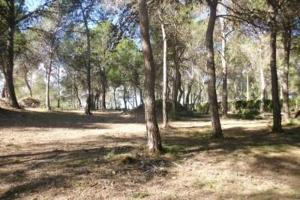 Terreno en venta en Ontinyent, Garrofer de l\'hora photo 0