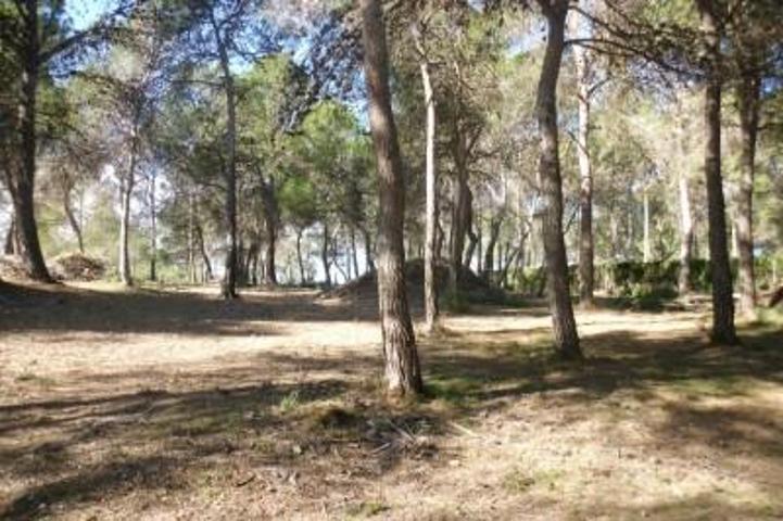Terreno en venta en Ontinyent, Garrofer de l\'hora photo 0