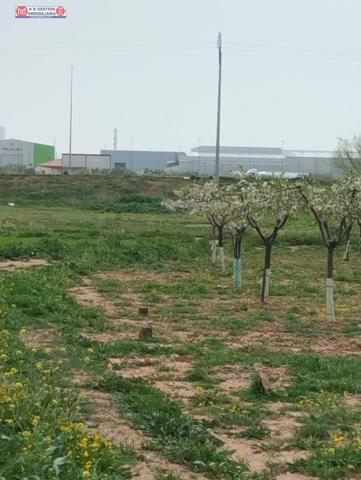 Terreno en venta en Alcázar de San Juan, Pablo Iglesias photo 0
