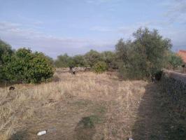 Terreno en venta en Santa Ana, Centro photo 0