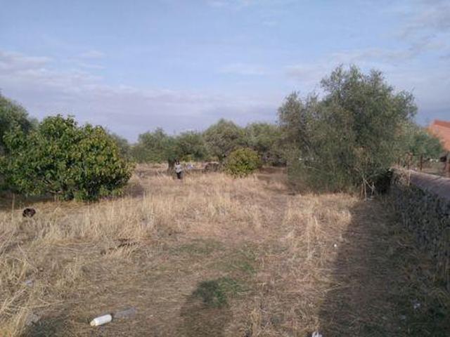 Terreno en venta en Santa Ana, Centro photo 0