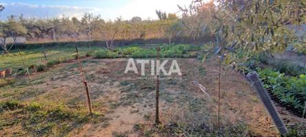 Terreno en venta en Ontinyent, Ontinyent photo 0