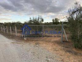 Terreno en venta en Hinojos, Hinojos photo 0