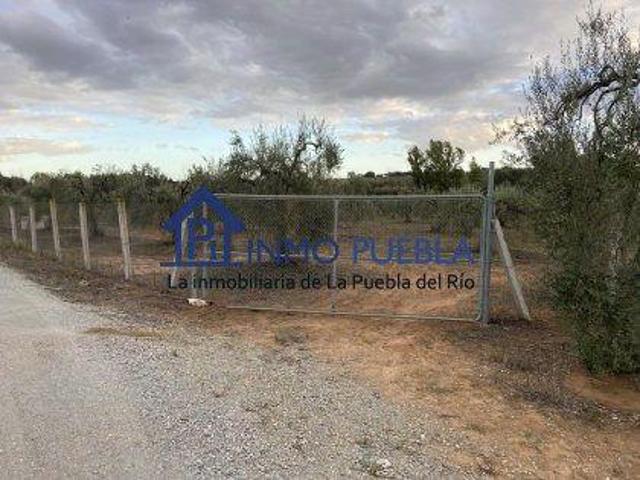 Terreno en venta en Hinojos, Hinojos photo 0