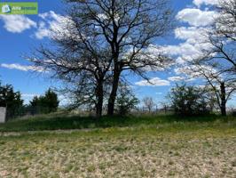 Chalet en venta en Aranda de Duero, Sinovas photo 0