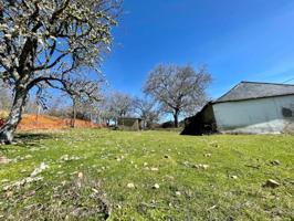 Terreno en venta en Sancedo, Ocero photo 0