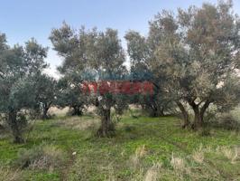 Chalet en venta en Saucedilla photo 0