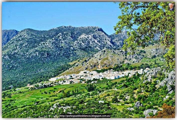 Terreno en venta en Benaocaz, Andalucia photo 0
