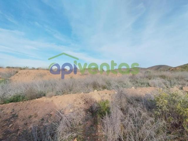 Terreno en venta en Lorca, La Hoya-Almendricos-Purias photo 0