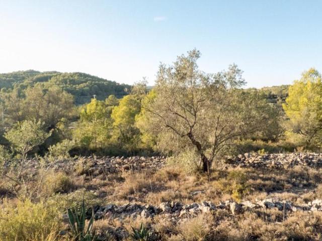 Terreno en venta en el Perelló photo 0