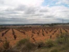 Terreno en venta en Cortes de Pallás, Viñuelas photo 0