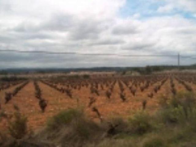Terreno en venta en Cortes de Pallás, Viñuelas photo 0