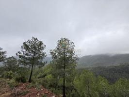 Casa en venta en Fuentes de Ayódar photo 0