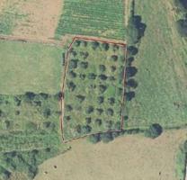 Terreno en venta en Villaviciosa, San Justo photo 0