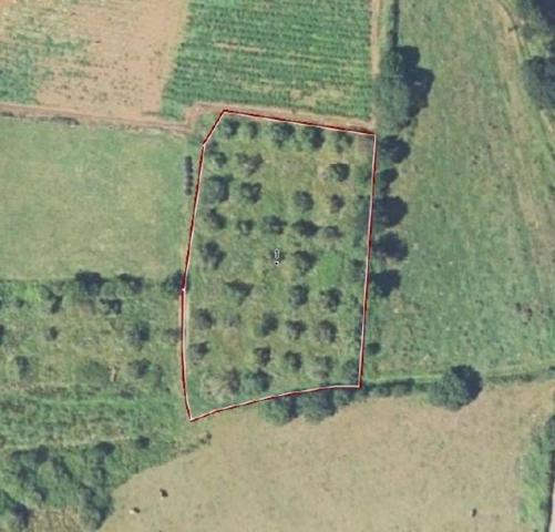 Terreno en venta en Villaviciosa, San Justo photo 0