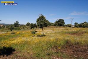 Chalet en venta en Valencia de Alcántara, Campiña photo 0