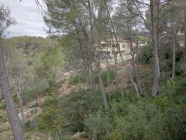Terreno en venta en Olivella, Can Suria photo 0