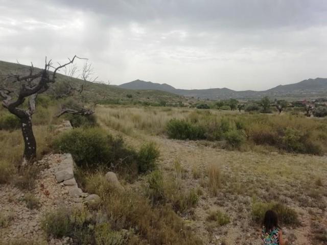 Terreno en venta en Hondon de los Frailes, LA SOLANA photo 0