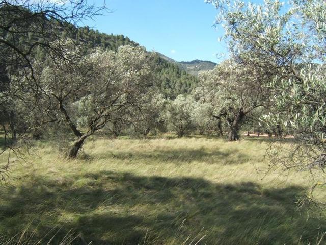 Terreno en venta en Paüls photo 0